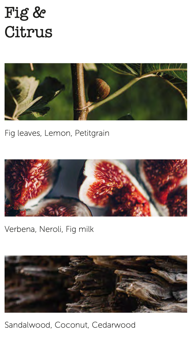 Bougie Fig & Citrus