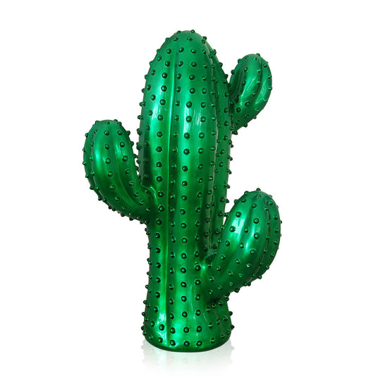 Cactus moyen
