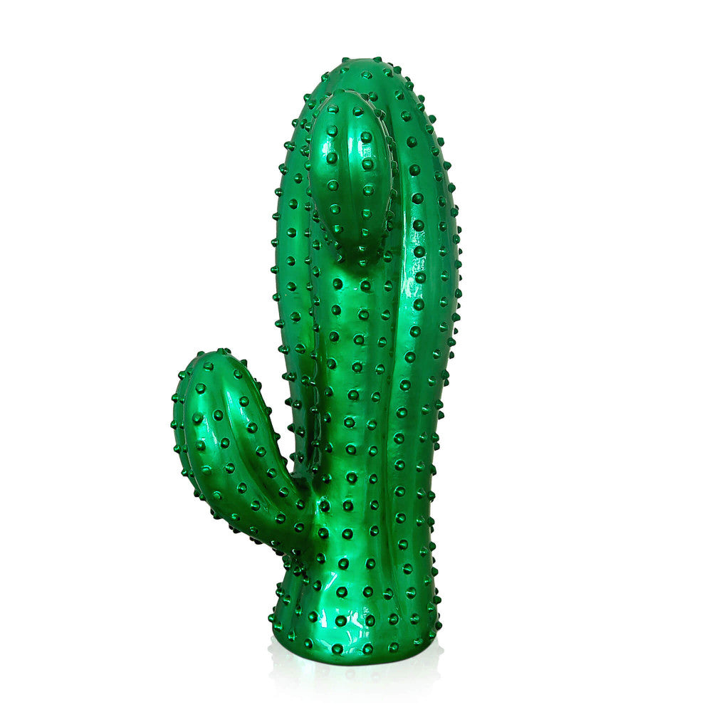 Cactus moyen